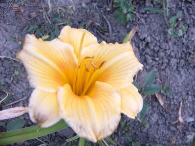 P1350086