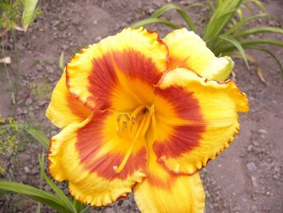 P1350120