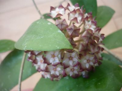 P1330540