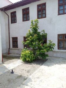 Magnolia inflorita a 2 a oara la Manastirea Comana