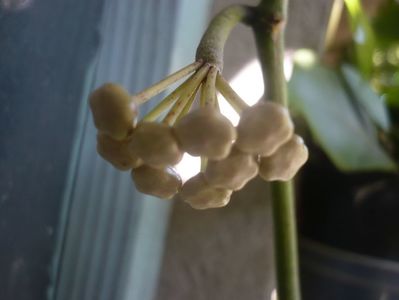 P1340726