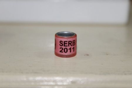 SERBIA 2O11