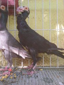 Photo0818