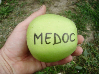 Măr Medoc; Măr Medoc
