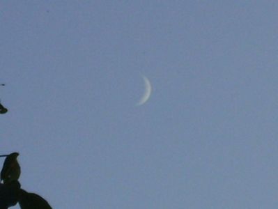 Luna Noua in Scorpion; 24 sept. 2017
