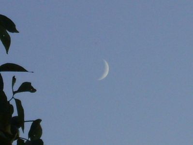 Luna Noua in Scorpion; 24 sept. 2017
