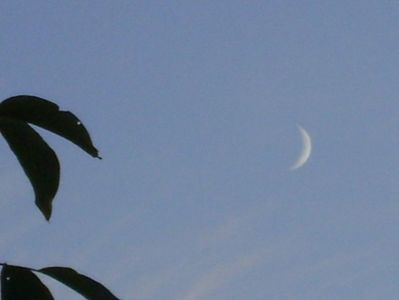 Luna Noua in Scorpion; 24 sept. 2017
