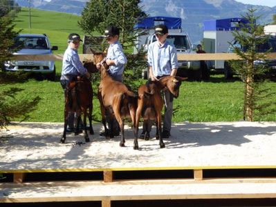 copii pe podium cu Alpinele