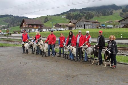 Oameni zambitori da,,,