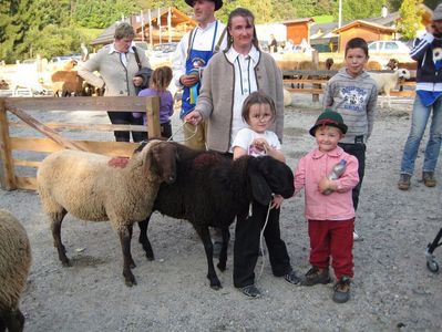 Rasa Landsberger Brillenschaf cu copii