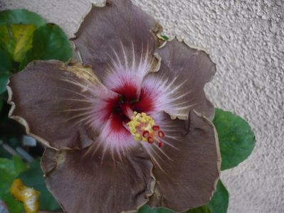 P1350107
