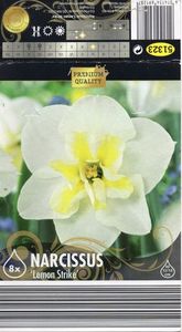 Narcissus 'Lemon Strike'