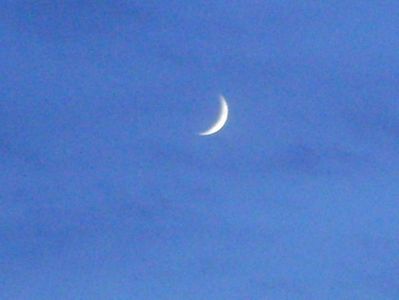 Luna Noua in Capricorn; 22 nov. 2017
