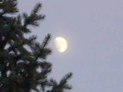 Luna in crestere in Berbec; 29 nov. 2017
