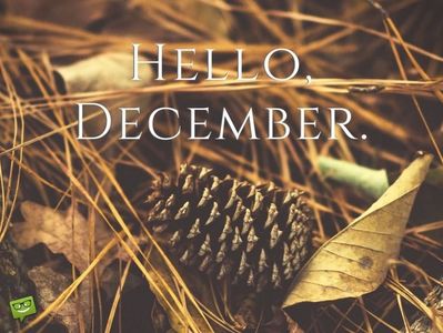 HelloDecember-on-image-with-pine