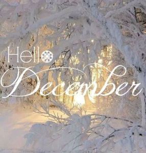 a43daf0113eb3970c877d54a0223b700--welcome-december-quotes-hello-december-quotes