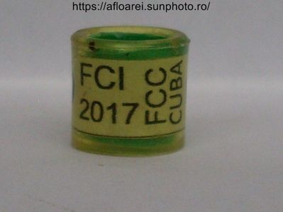 FCI 2017 FCC CUBA