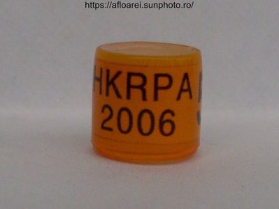 HKRPA 2006