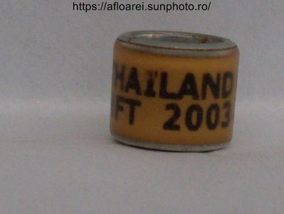THAILAND HFT 2003