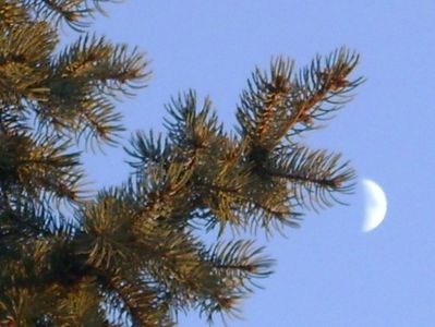 Luna in crestere in Pesti; 25 dec. 2017, prima zi de Craciun
