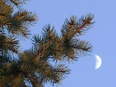 Luna in crestere in Pesti; 25 dec. 2017, prima zi de Craciun
