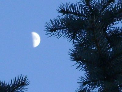 Primul patrar - Luna in Berbec; 26 dec. 2017 - a doua zi de Craciun
