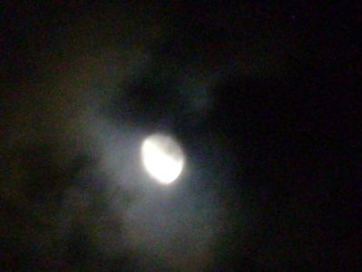 Luna in crestere - in Taur; 29 dec. 2017
