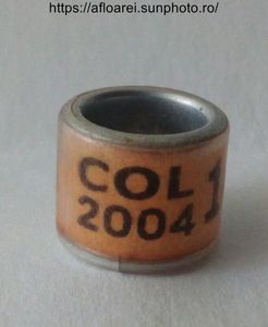 COL 2004