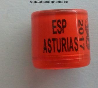ESP ASTURIAS 2017