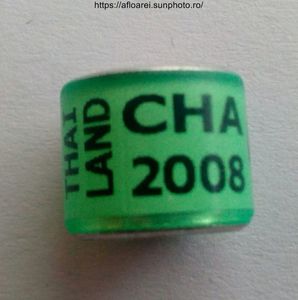 THAILAND CHA 2008