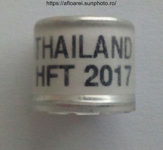 THAILAND HFT 2017