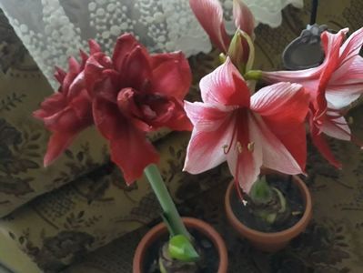 20180129_163957[1]