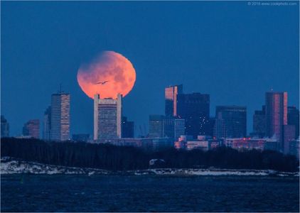 Super Blue Blood Moon Eclipse; 31 ian. 2018 - poza preluata de pe net
