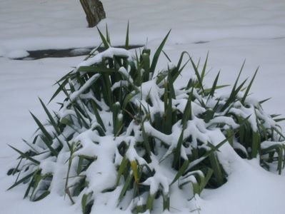 20 mart. 2018 - Echinocțiul de primăvară