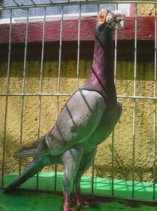 Photo1019