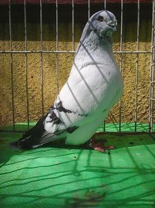 Photo1024