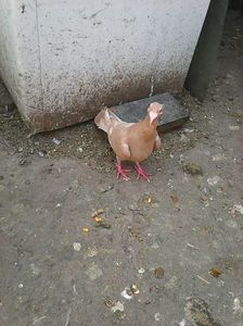 Photo1047