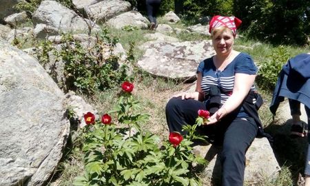 Paeonia Romanica Peregrina - Bujor salbatic romanesc