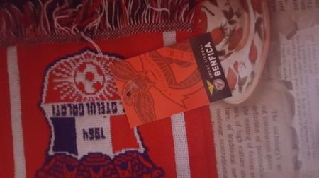 Benfica Otelul Galati 2011