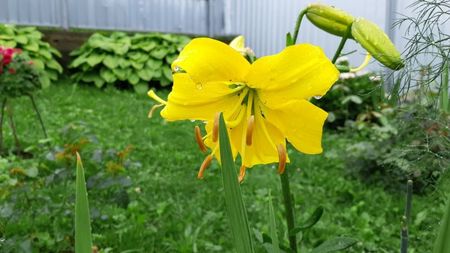 IMG-20180630-WA0040