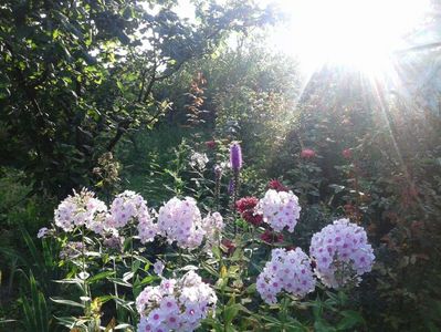 IMG-20180718-WA0027