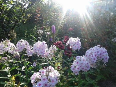 IMG-20180718-WA0025