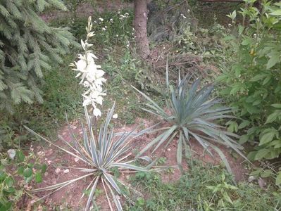 IMG-20180614-WA0014
