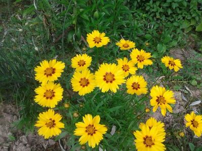 IMG-20180601-WA0002