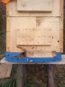 Stup traditional; Albinele paznic...pazesc urdinisul de alte albine sa nu intre in stup.
