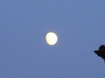 Luna in crestere in Capricorn; 23 aug. 2018
