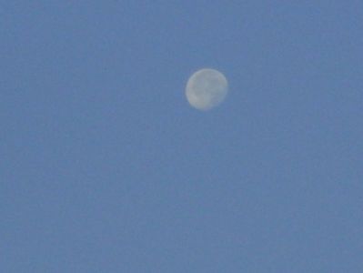 Luna in scadere, Berbec; 29 aug. 2018
