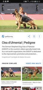 Clea D'Ulmental; Clea D&#039;Ulmental
