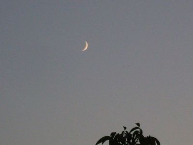 Luna in crestere in Scorpion; 13 sept. 2018
