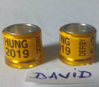2019 HUNG- 8mm....-1,5 leu